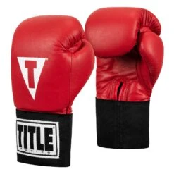 TITLE Boxing USA Boxing Competition Gloves - Elastic -Boxing Promotions Shop ACGES RD 02