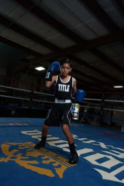 TITLE Boxing USA Boxing Competition Gloves - Elastic -Boxing Promotions Shop ACGESBL 1