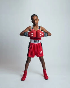 TITLE Boxing USA Boxing Competition Gloves - Elastic -Boxing Promotions Shop ACGESRD 1 5a784f2a 96d1 4398 8964 0d22ac107e07