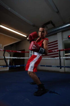 TITLE Boxing USA Boxing Competition Gloves - Elastic -Boxing Promotions Shop ACGESRD 3