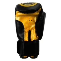 TITLE Classic Speed Boxing Gloves -Boxing Promotions Shop CABG12 BK GD 4