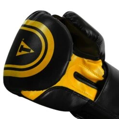 TITLE Classic Speed Boxing Gloves -Boxing Promotions Shop CABG12 BK GD 6