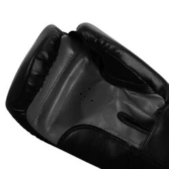 TITLE Classic Speed Boxing Gloves -Boxing Promotions Shop CABG12 BK GR 5
