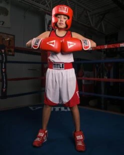 TITLE Classic USA Boxing Competition Headgear – With Cheeks -Boxing Promotions Shop CACHX RD