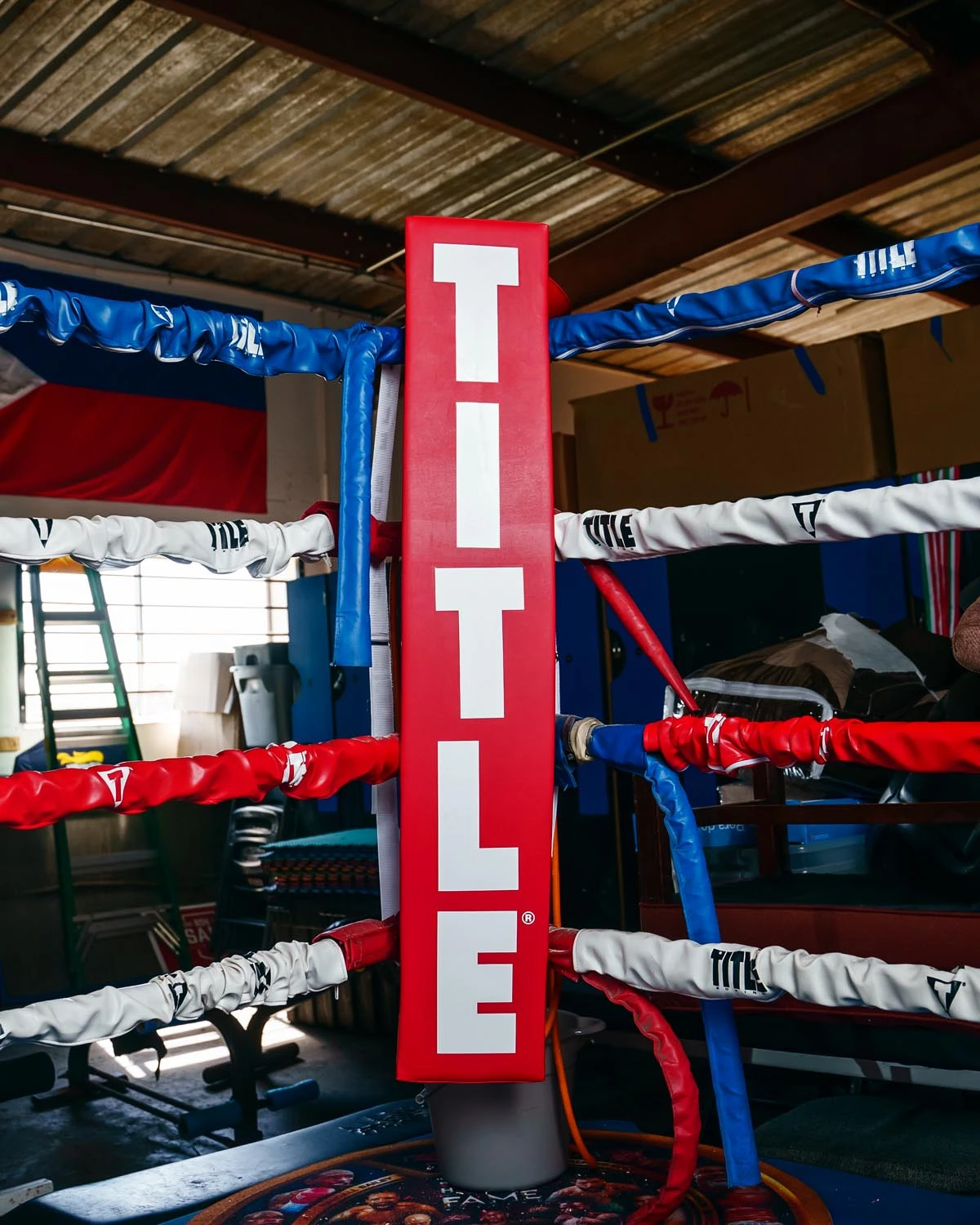 TITLE Boxing Pro Corner Cushions V3.0 – Set Of 4 4 TITLE Boxing Pro Corner Cushions V3.0 – Set Of 4 - Image 4