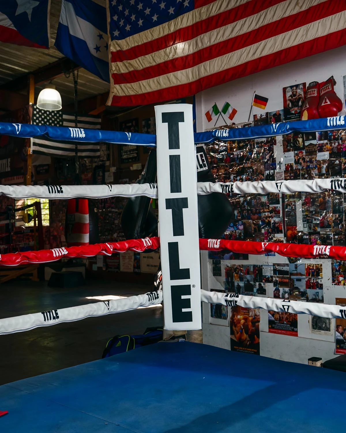 TITLE Boxing Pro Corner Cushions V3.0 – Set Of 4 6 TITLE Boxing Pro Corner Cushions V3.0 – Set Of 4 - Image 6