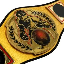 TITLE Boxing Championship Belt 10 TITLE Boxing Championship Belt -Boxing Promotions Shop CLTB134 03