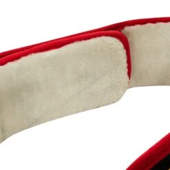 TITLE Boxing Triumphant Wings Of Victory Belt 13 TITLE Boxing Triumphant Wings Of Victory Belt -Boxing Promotions Shop CLTB212 BK 5