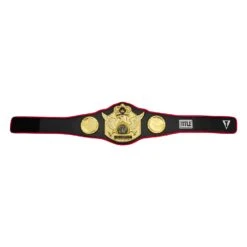 TITLE Boxing Triumphant Wings Of Victory Belt 14 TITLE Boxing Triumphant Wings Of Victory Belt -Boxing Promotions Shop CLTB212 BK 6