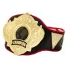 Title Boxing Torch Belt