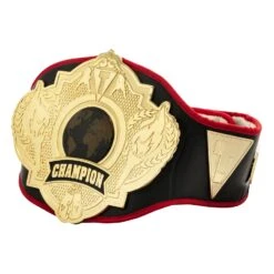 Title Boxing Torch Belt
