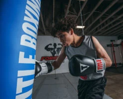 TITLE Classic Pro Style Training Gloves 3.0 28 TITLE Classic Pro Style Training Gloves 3.0 -Boxing Promotions Shop CVVTG3BK 1