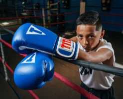 TITLE Classic Pro Style Training Gloves 3.0 35 TITLE Classic Pro Style Training Gloves 3.0 -Boxing Promotions Shop CVVTG3BL 1