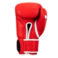 Fighting Fury Professional Training Gloves -Boxing Promotions Shop FSFTGE RD 04