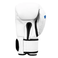 Fighting Fury Professional Training Gloves -Boxing Promotions Shop FSFTGE WH 04