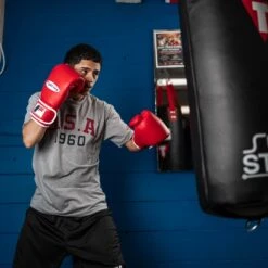 Fighting Fury Professional Training Gloves -Boxing Promotions Shop FSFTGERD