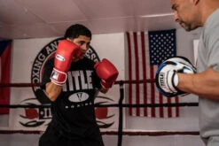 Fighting Fury Professional Training Gloves -Boxing Promotions Shop FSFTGERD 2