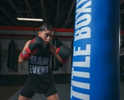 TITLE Boxing Guts And Glory Bag Gloves -Boxing Promotions Shop GGBGBKRD 1