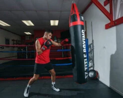 TITLE Boxing Guts And Glory Bag Gloves -Boxing Promotions Shop GGBGBKRD 3