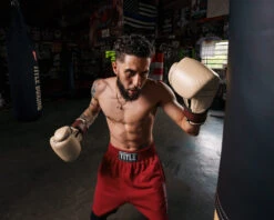 TITLE Boxing Honorary Bag Gloves 33 TITLE Boxing Honorary Bag Gloves -Boxing Promotions Shop GOSBGTNMR 1