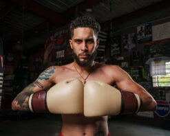 TITLE Boxing Honorary Bag Gloves 27 TITLE Boxing Honorary Bag Gloves -Boxing Promotions Shop GOSBGTNMR 2