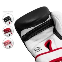 TITLE Boxing Home Conditioning Bundle -Boxing Promotions Shop GTWBG 5