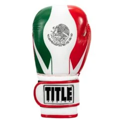 TITLE Boxing Infused Foam El Combate Mexico Training Gloves -Boxing Promotions Shop HIFXTG 3