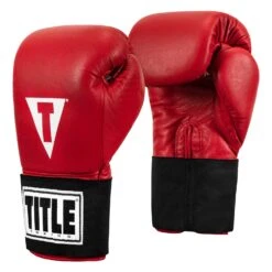 TITLE Boxing Masters USA Boxing Competition Gloves - Elastic -Boxing Promotions Shop MACGES RD 02
