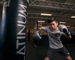 TITLE Platinum Prolific Training Gloves -Boxing Promotions Shop PLTGSVBK 1 1