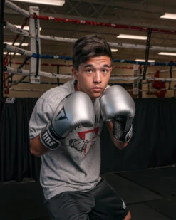 TITLE Platinum Prolific Training Gloves -Boxing Promotions Shop PLTGSVBK 1 2