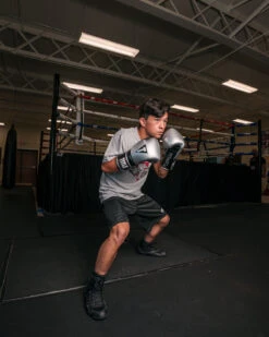 TITLE Platinum Prolific Training Gloves -Boxing Promotions Shop PLTGSVBK 1 3