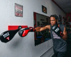 TITLE Boxing Precision Spring-Flex Wall Target -Boxing Promotions Shop PSFWTBK 3