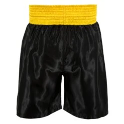 TITLE Boxing Edge Boxing Trunks 2.0 -Boxing Promotions Shop TBTC2 BK GD 3