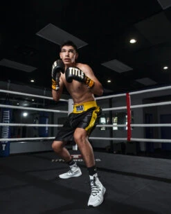 TITLE Boxing Edge Boxing Trunks 2.0 -Boxing Promotions Shop TBTC2BKGD