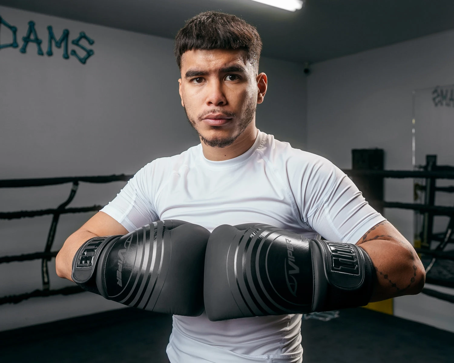 Viper By TITLE Boxing Select Training Gloves 2.0 10 Viper By TITLE Boxing Select Training Gloves 2.0 - Image 10