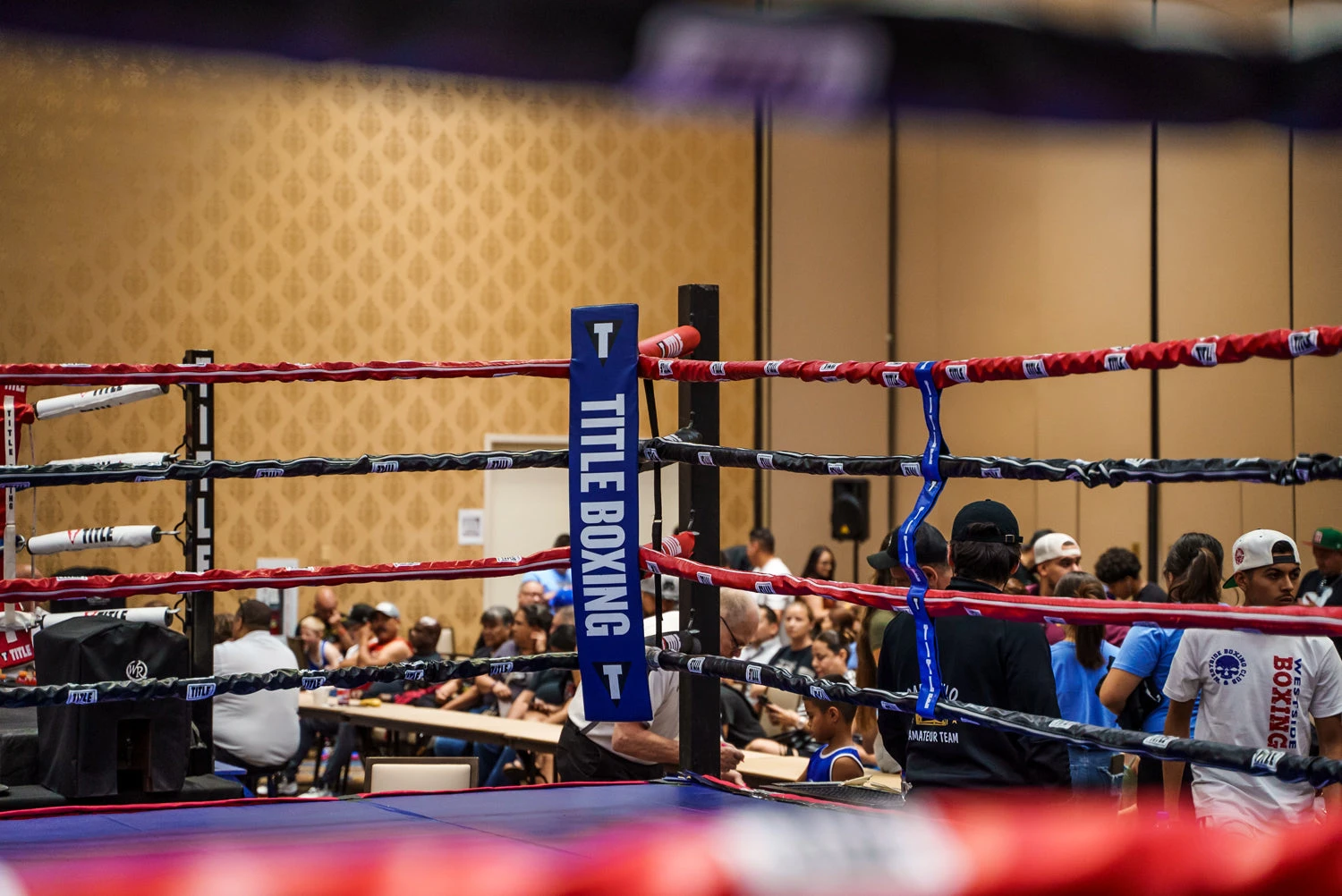 TITLE Boxing Two-Sided Rope Spacers 19 TITLE Boxing Two-Sided Rope Spacers - Image 19