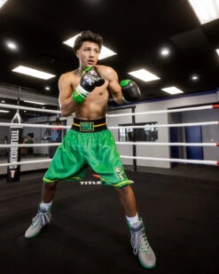 WBC By TITLE Boxing Professional Boxing Trunks -Boxing Promotions Shop WBCBTGN