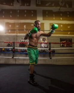 WBC By TITLE Boxing Professional Boxing Trunks -Boxing Promotions Shop WBCBTGRBK 2