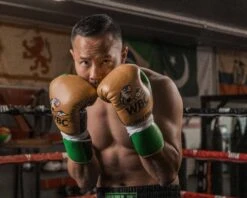 WBC By TITLE Boxing Jose Sulaiman Leather Gloves -Boxing Promotions Shop WBCJPFG