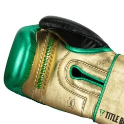 WBC By TITLE Boxing Green Belt Training Gloves 1.0 -Boxing Promotions Shop WGBTG GN GD BK 5