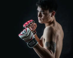 TITLE MMA Command Pro Fight Gloves -Boxing Promotions Shop XMCPFG RD