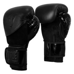 TITLE Black Blitz Bag Gloves -Boxing Promotions Shop bkvbg 002