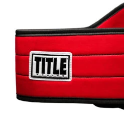 TITLE Boxing World Boxing Champion Title Belt 16 TITLE Boxing World Boxing Champion Title Belt -Boxing Promotions Shop cltb20 rd 3