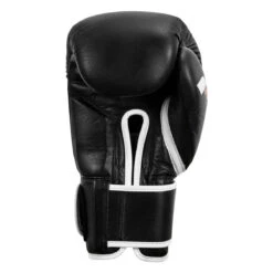 Fighting Fury Professional Training Gloves -Boxing Promotions Shop fsftge bk 04