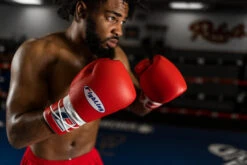 Fighting Fury Professional Lace Training Gloves -Boxing Promotions Shop fsftgl rd