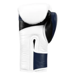 Fighting Force Training Gloves -Boxing Promotions Shop ftgftg wh bl bk 4 1