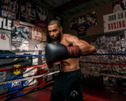 TITLE Boxing Honorary Sparring Gloves -Boxing Promotions Shop gossg bk bnl 3 1 1