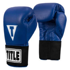 TITLE Boxing Masters USA Boxing Competition Gloves - Elastic -Boxing Promotions Shop macges bl 02