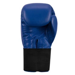 TITLE Boxing Masters USA Boxing Competition Gloves - Elastic -Boxing Promotions Shop macges bl 04