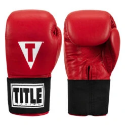 TITLE Boxing Masters USA Boxing Competition Gloves - Elastic -Boxing Promotions Shop macges rd 01